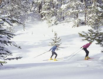 Cross country skiers in Mammoth Lakes, CA