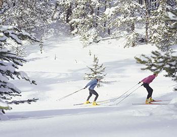 Cross country skiers in Mammoth Lakes, CA