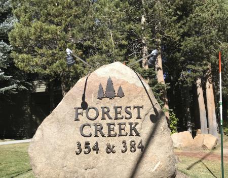 Forest Creek Mammoth