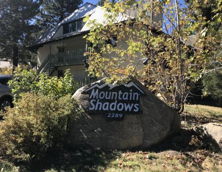 Mountain Shadow's Mammoth