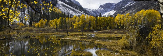 A view outside of Mammoth, CA during the fall season