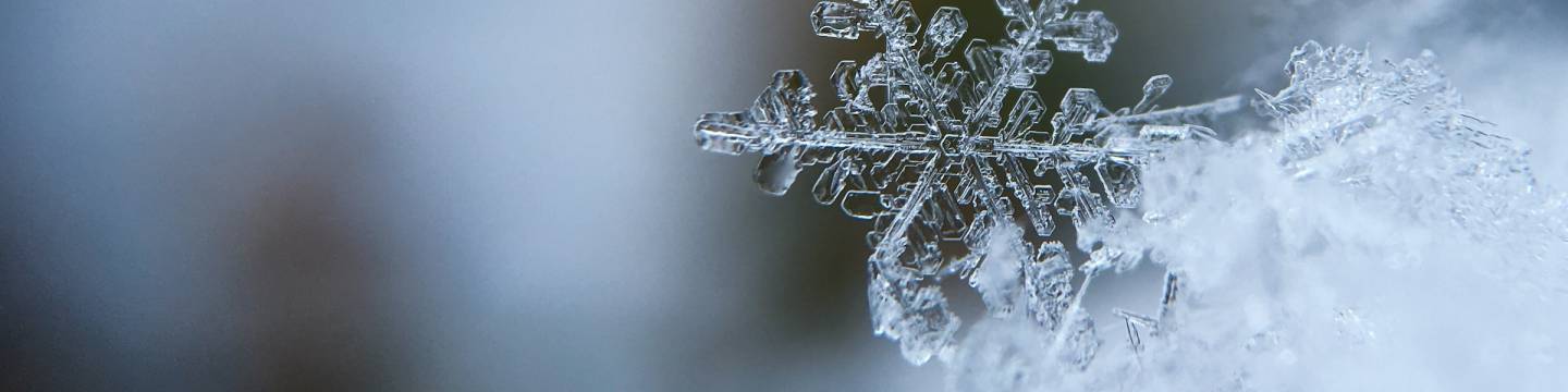 Close up of a snowflake