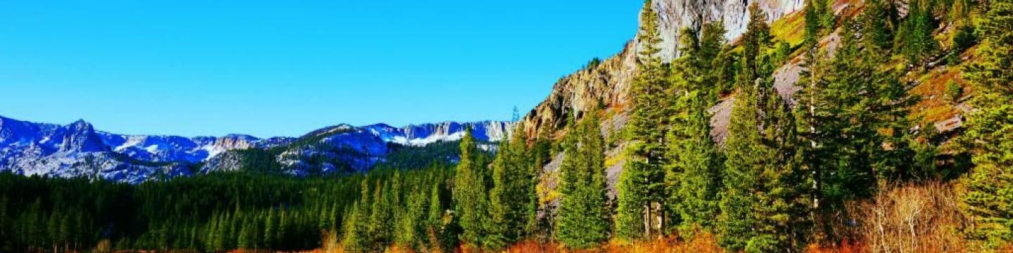 Fall colors in Mammoth Lakes, CA