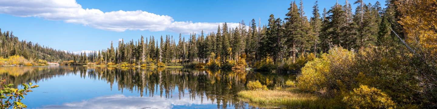 Mammoth Lakes