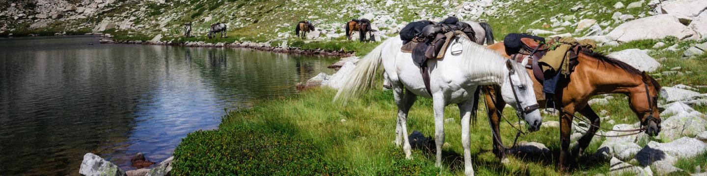 Mammoth Horseback Riding