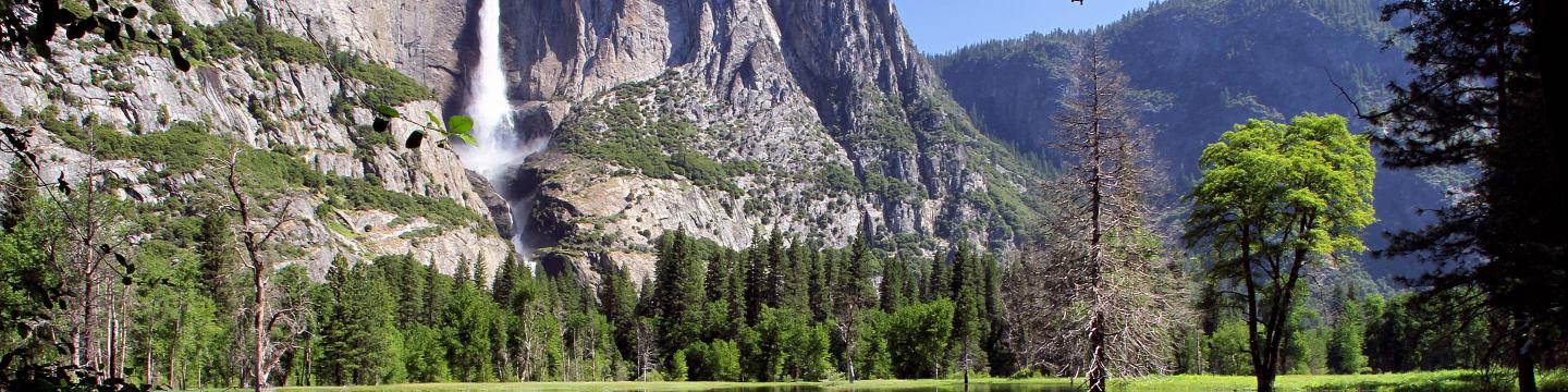 Yosemite National Park