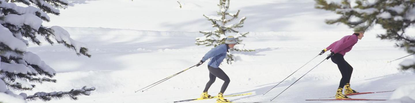 Cross Country skiers enjoying a sunny day in Mammoth Lakes, CA