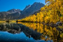 Fall colors in Mono County