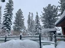 View of a snowy landscape from the Mountainback office