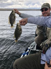 Crowley Lake Perch Fishing Mammoth