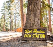 Red'a Meadow sign by a big tree