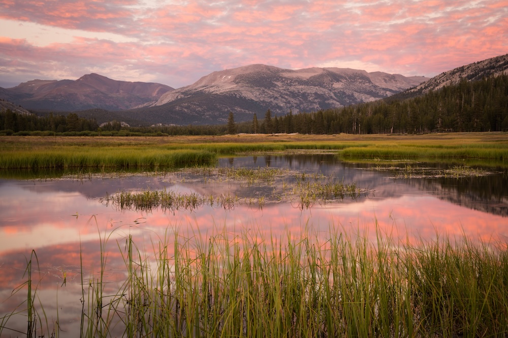 Tuolumne Meadows